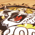 McKinley-Tiger-004.jpg